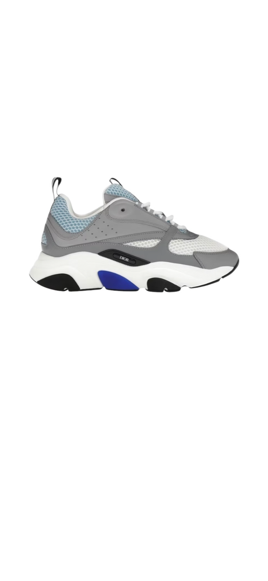 Dior b22
