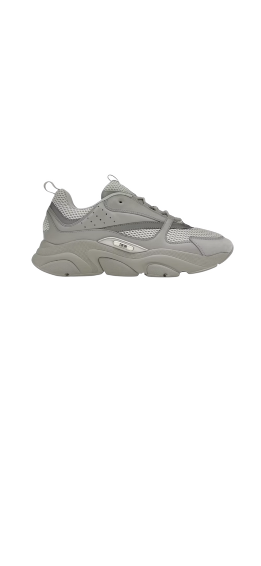 Dior b22