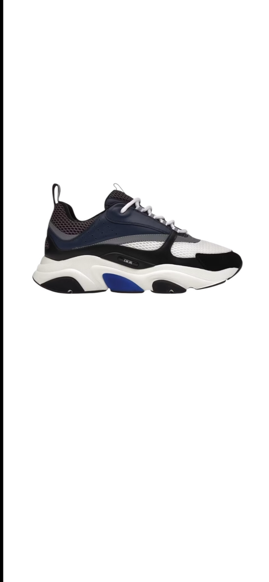 Dior b22